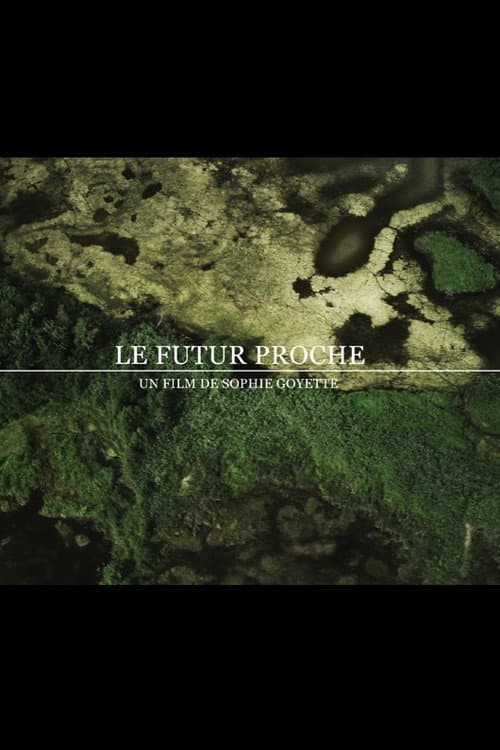 Le futur proche (2012) poster