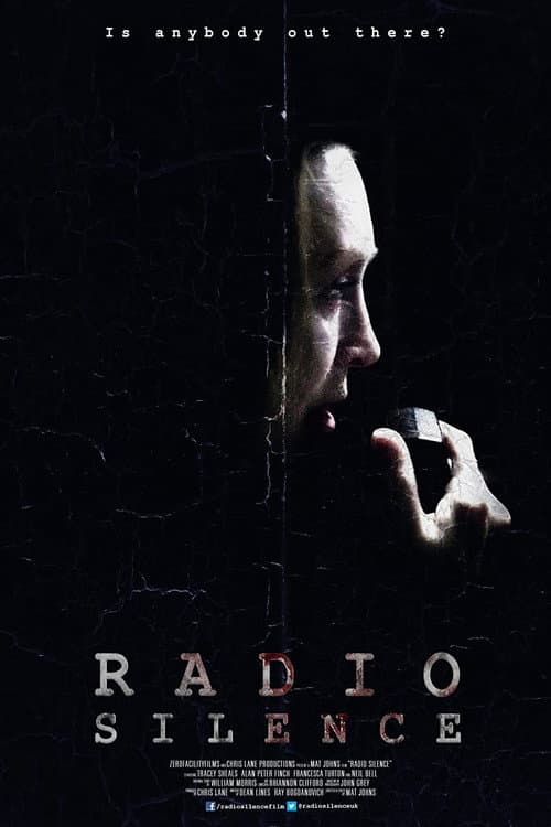 Radio Silence (2013) poster