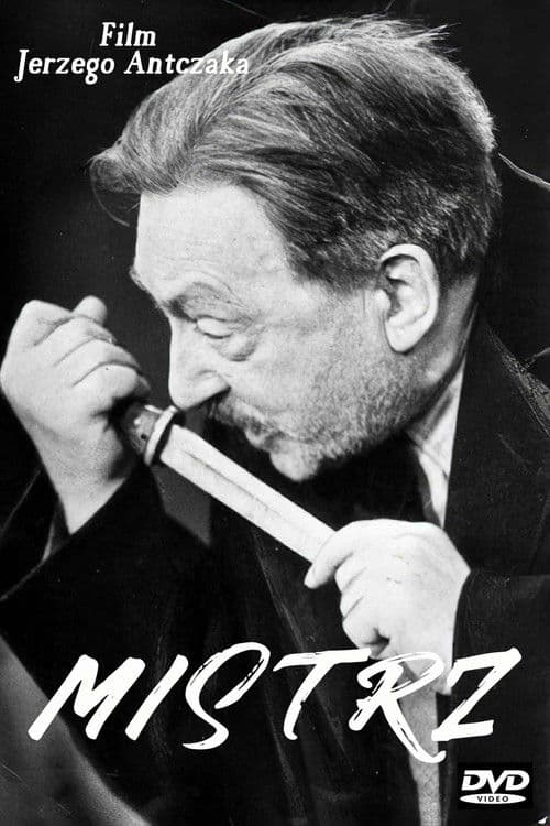 Mistrz (1966) poster