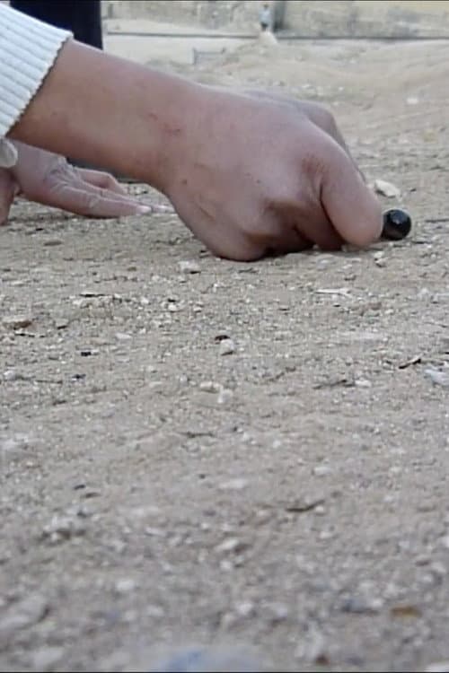 Children’s Game #8: Marbles (2010) poster