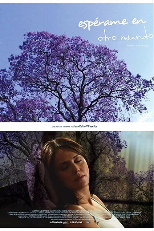 Espérame en otro mundo (2008) poster