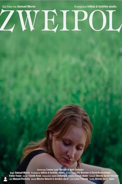 Zweipol (2024) poster