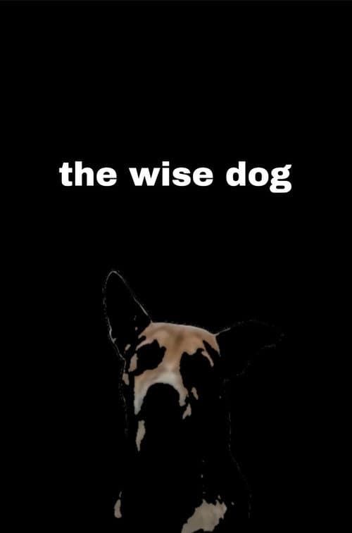the wise dog (2026) poster