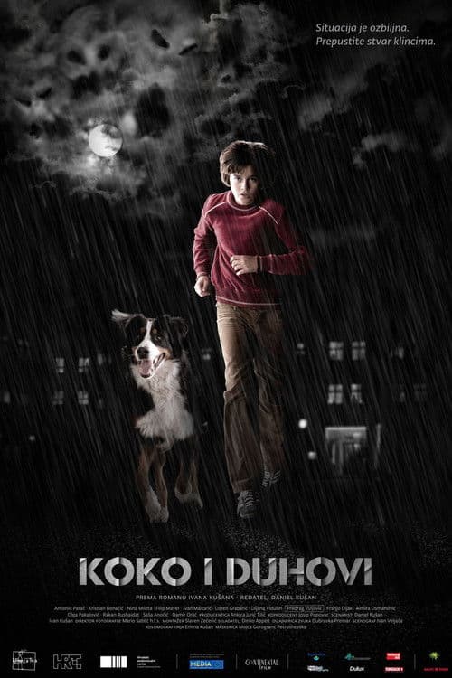Koko i duhovi (2011) poster