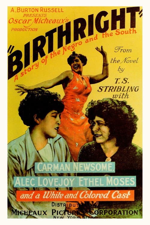 Birthright (1938) poster