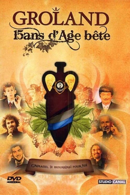 Groland - 15 ans d'âge... bête (2007) poster