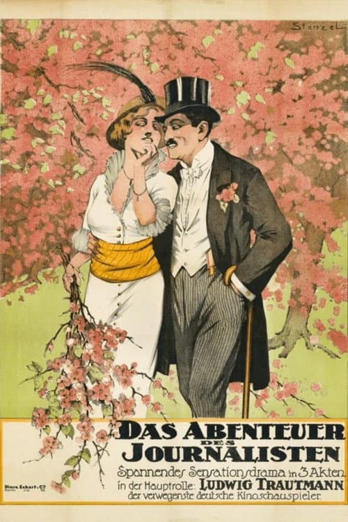 Das Abenteuer Eines Journalisten (1914) poster