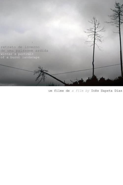 Retrato de Inverno de Uma Paisagem Ardida (2008) poster