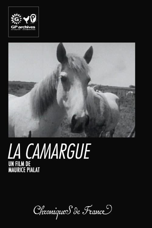La Camargue (1966) poster