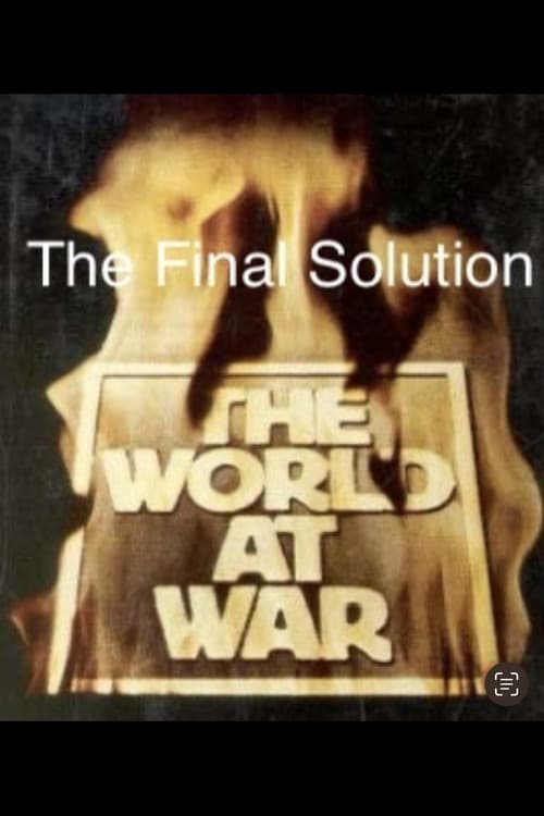 The Final Solution (1975) poster