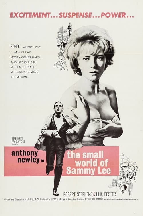 The Small World of Sammy Lee (1963) poster