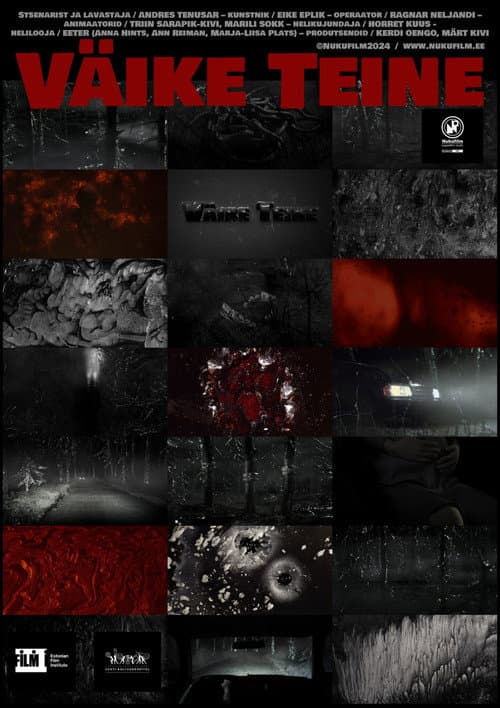 Väike teine (2024) poster