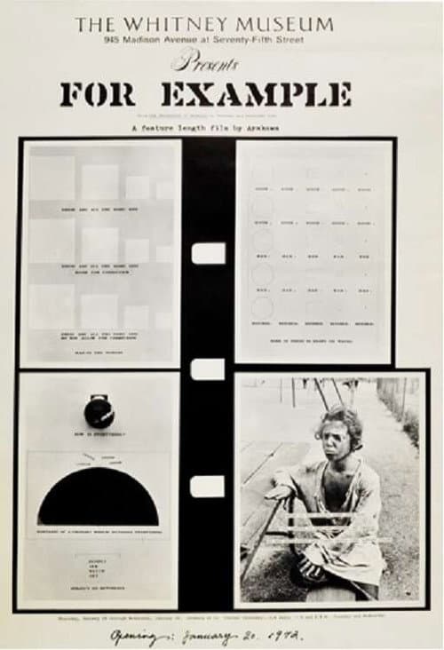 For Example: A Critique of Never (1971) poster