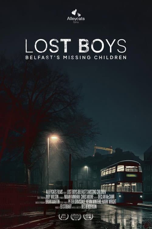 Lost Boys: Belfast's Missing Children (2023) poster