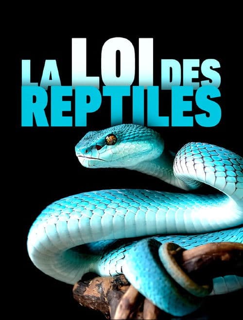La loi des reptiles (2017) poster