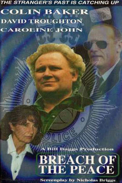 The Stranger: Breach of the Peace (1994) poster