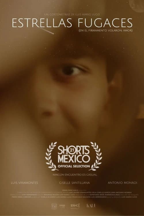 Estrellas fugaces (En el firmamento volaron, amor) (2026) poster