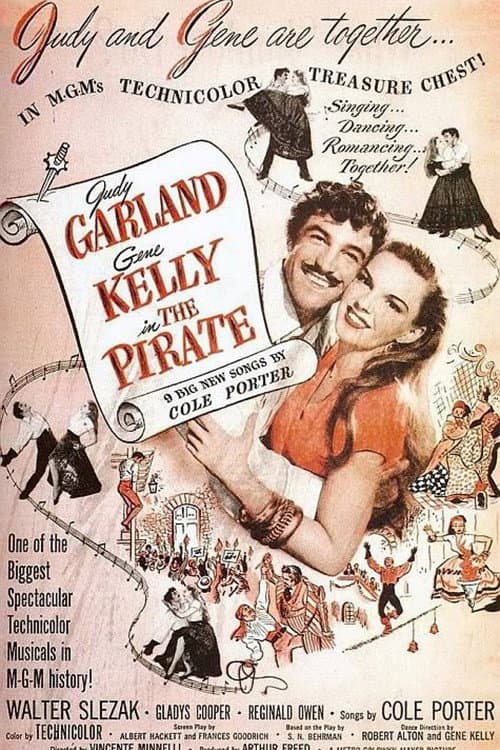 The Pirate: A Musical Treasure Chest (2007) poster