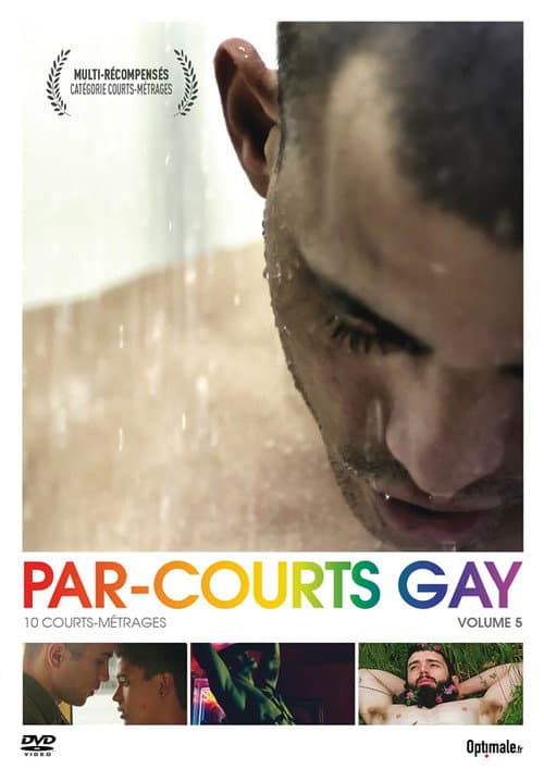 Par-courts Gay, Volume 5 (2016) poster