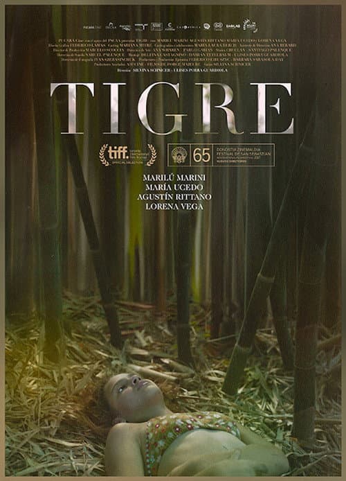 Tigre (2017) poster