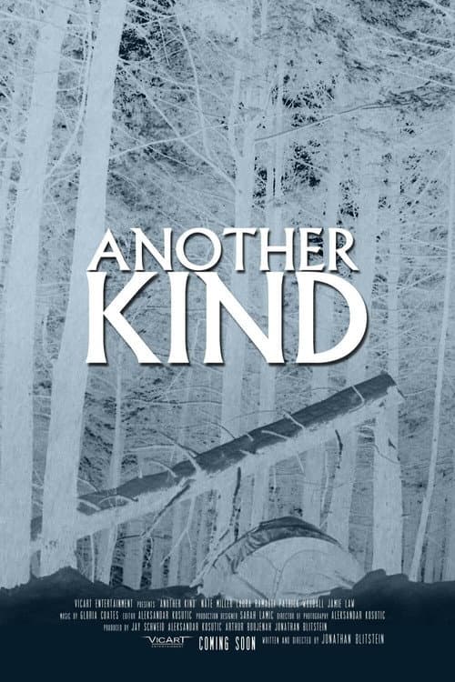Another Kind (2013) poster