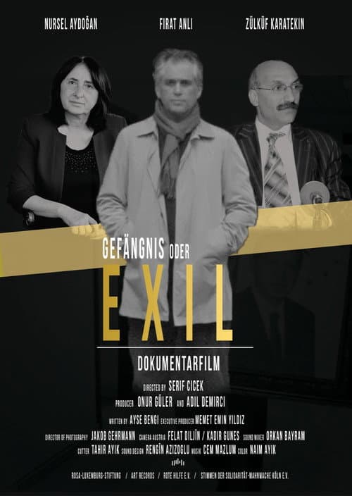 Gefängnis oder Exil (2021) poster