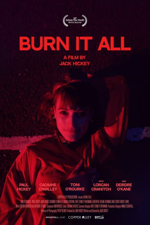Burn It All (2022) poster