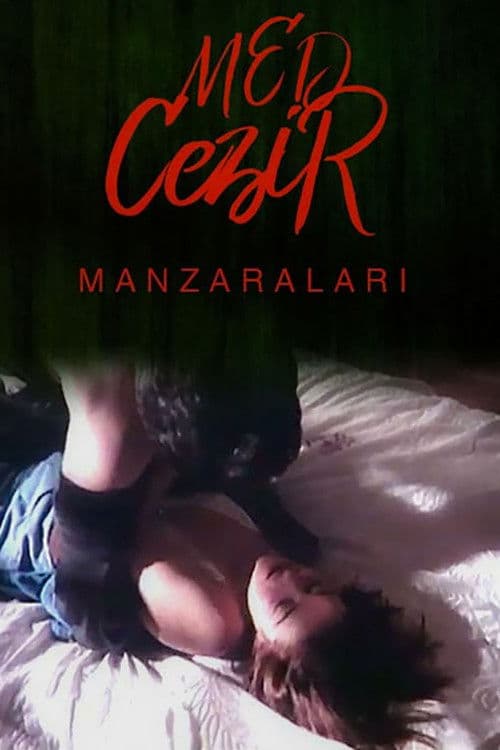 Medcezir Manzaraları (1989) poster
