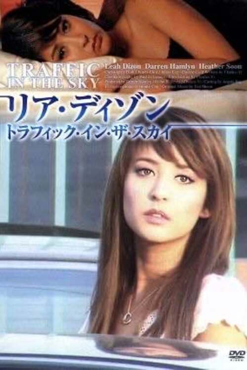 Traffic in the Sky (2007) poster
