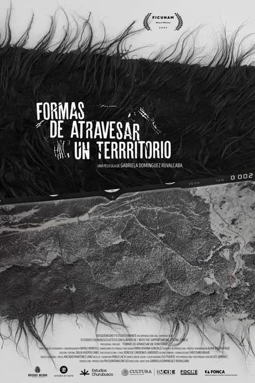 Formas de atravesar un territorio (2024) poster