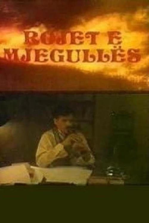 Rojet e mjegullës (1988) poster