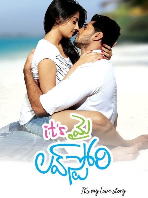 Its My Love Story (2011) poster