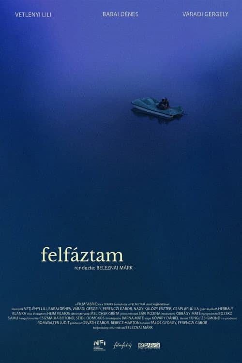 Felfáztam (2024) poster