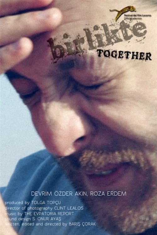Birlikte (2012) poster