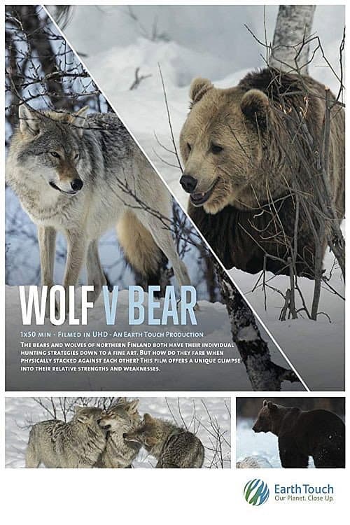 Wolf vs Bear (2019) poster