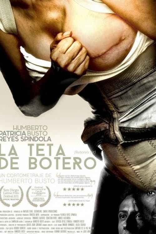 La teta de Botero (2015) poster