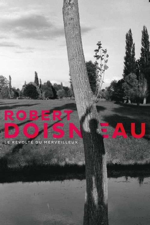 Robert Doisneau, le révolté du merveilleux (2017) poster