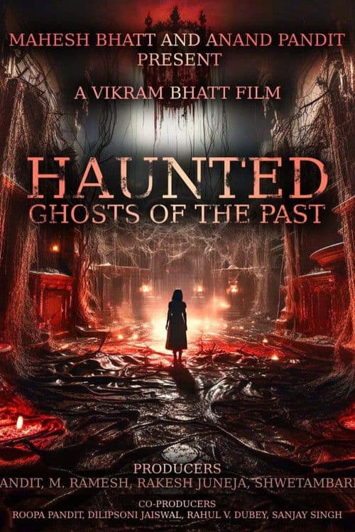 Haunted 3D: Echoes of the Past (2026) poster