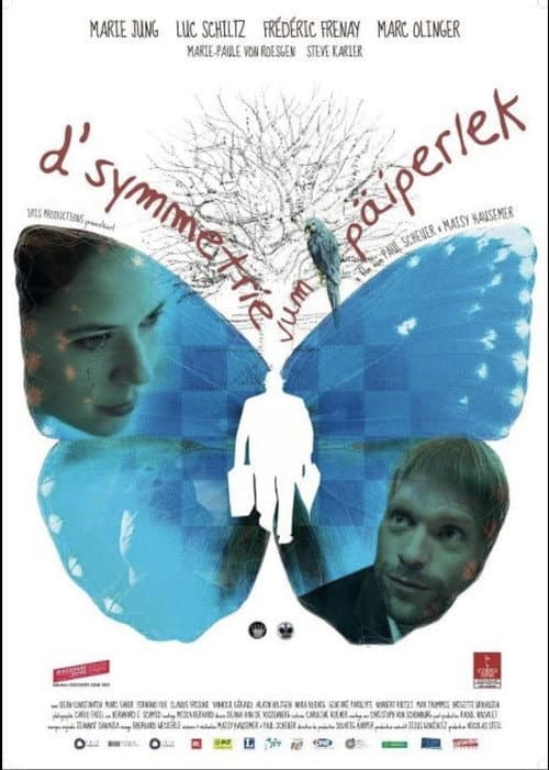 D'Symmetrie vum Päiperlek (2012) poster