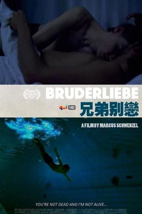 Bruderliebe (2009) poster