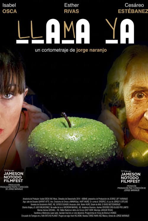 Llama ya (2010) poster