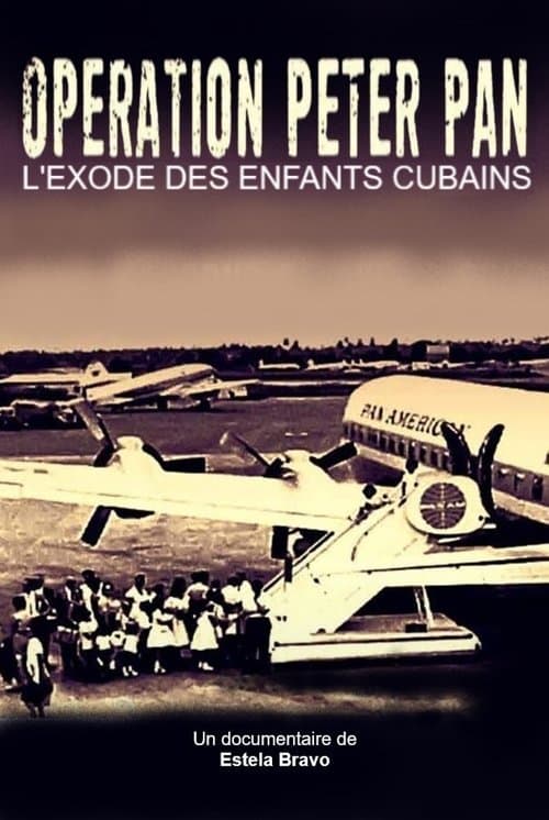 Operación Pedro Pan (2011) poster
