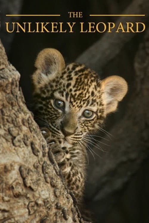 The Unlikely Leopard (2012) poster