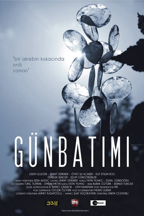 Günbatımı (2014) poster