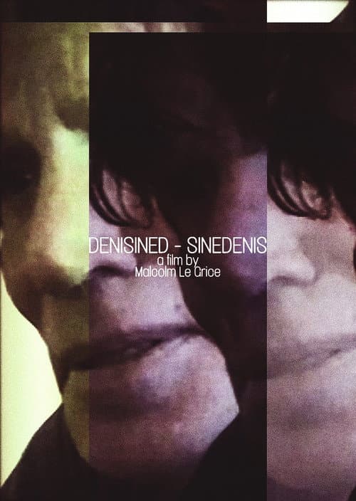 DENISINED - SINEDENIS (2006) poster