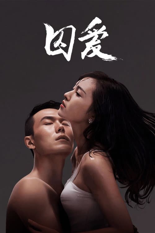 囚爱 (2016) poster