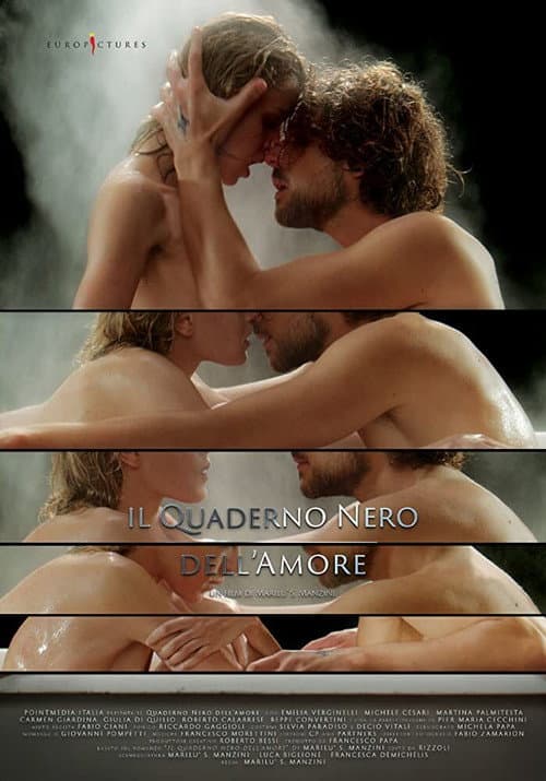 Il quaderno nero dell'amore (2021) poster