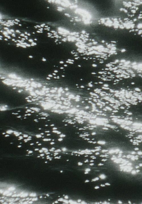 Kristallnacht (1979) poster