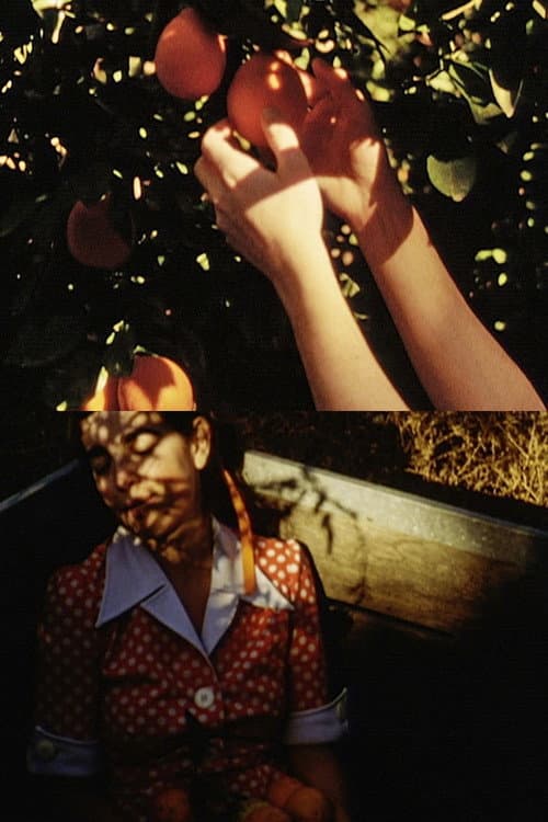 Apanhar Laranjas (2012) poster