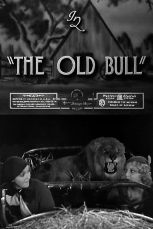The Old Bull (1932) poster